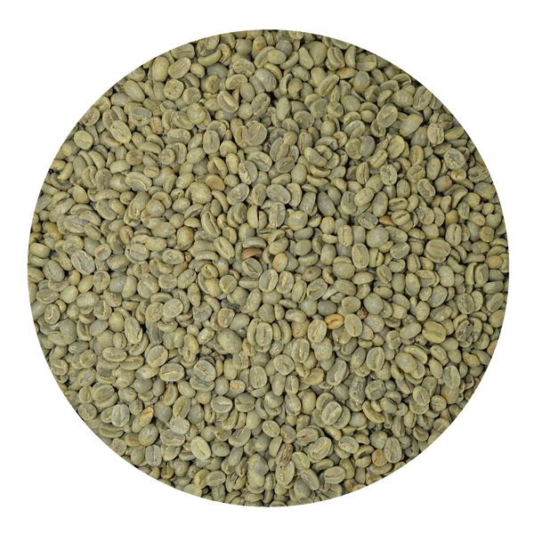 Guatemala Organic Green Coffee Boxes Wholesale Origin CoffeeRoast Co.