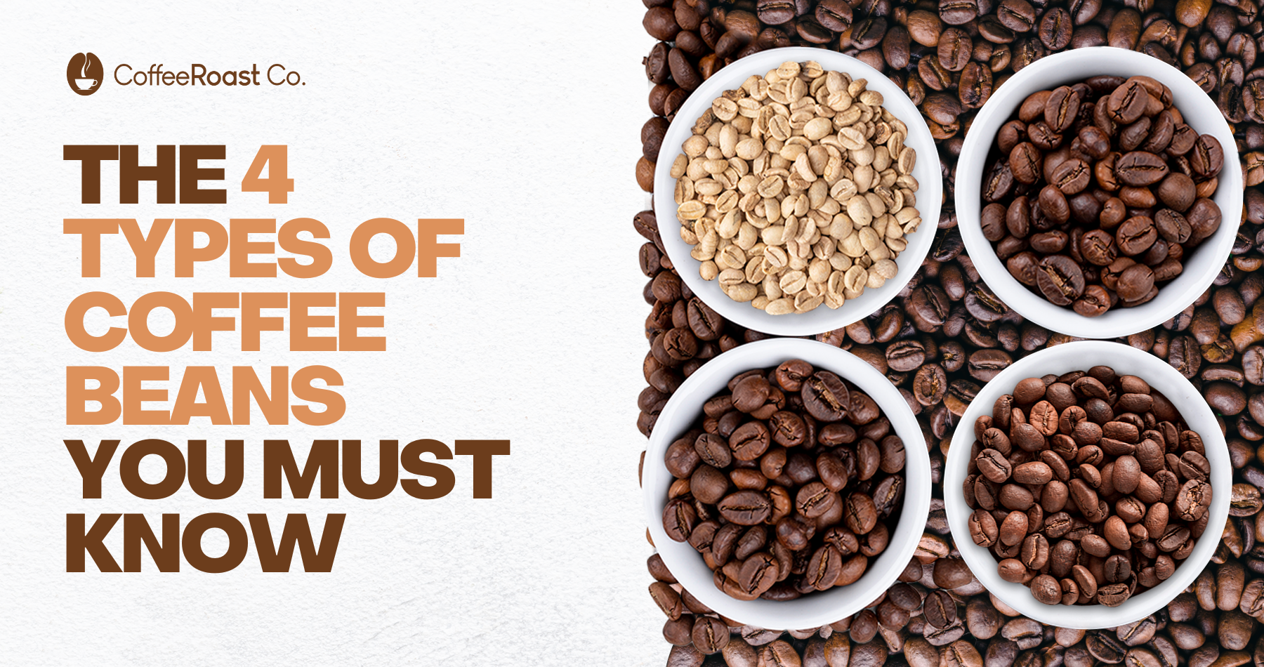 The 4 Types of Coffee Beans You Must Know