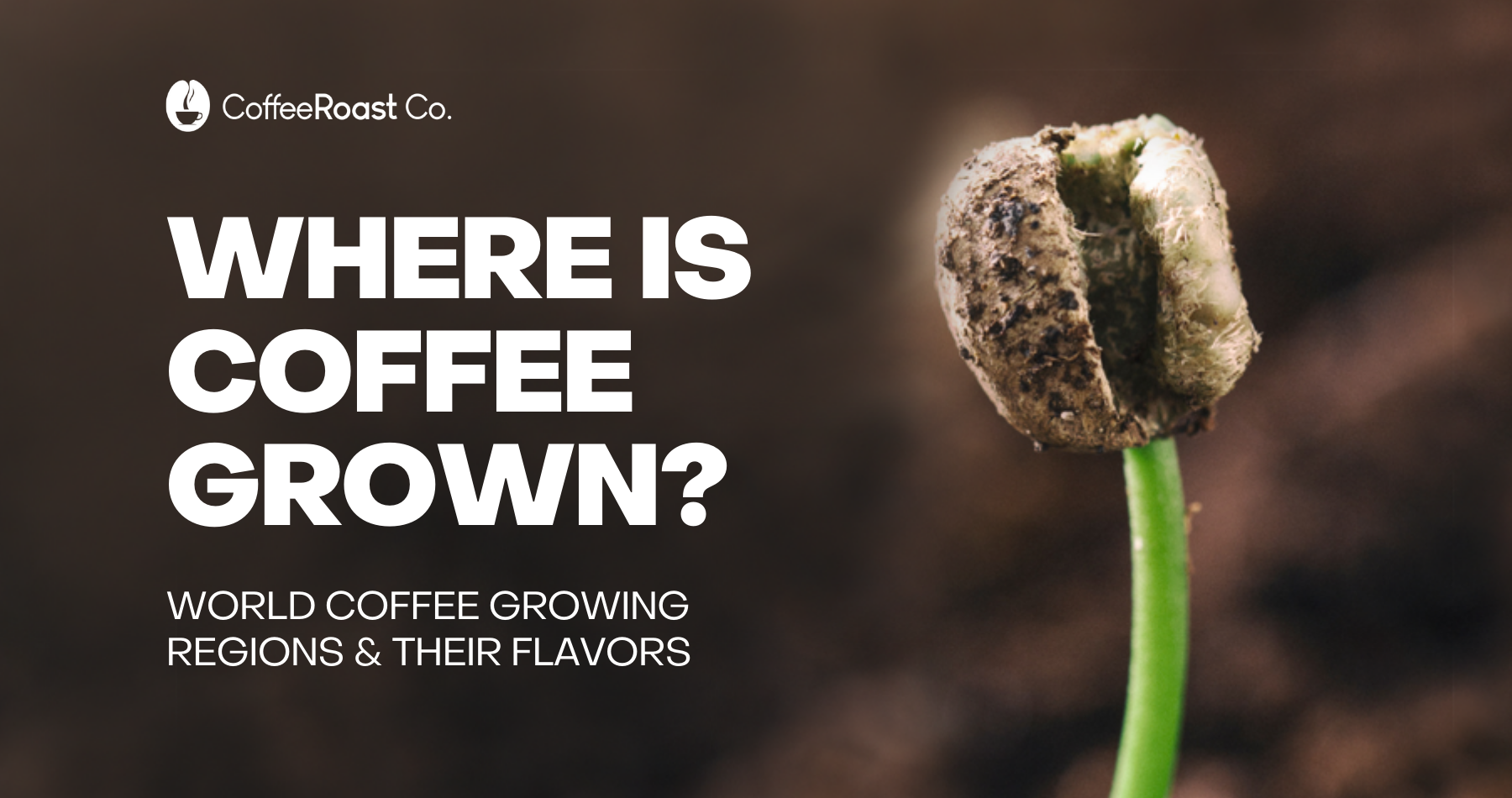 Where is Coffee Grown?