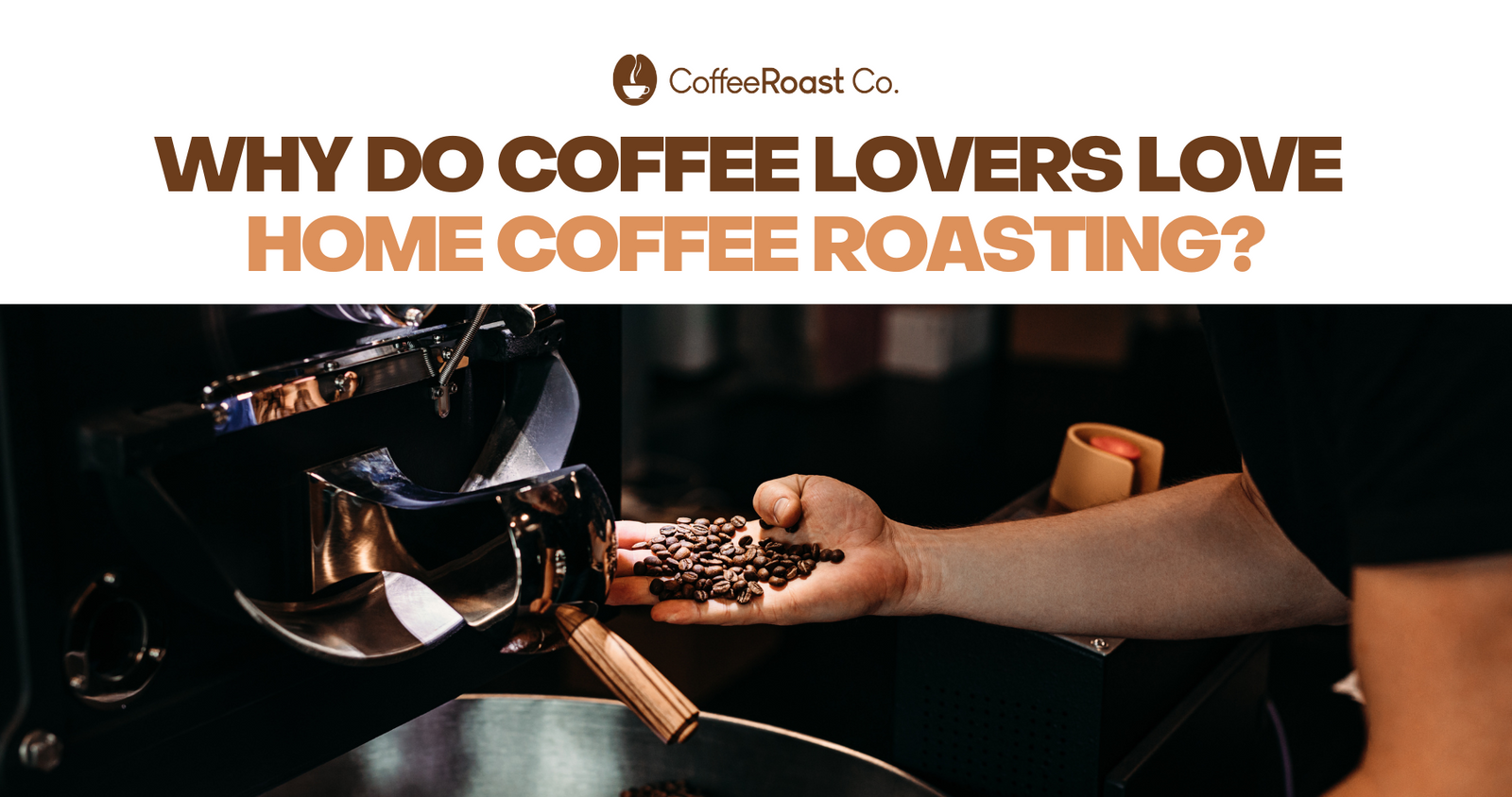 Person holding roasted coffee beans in their hand