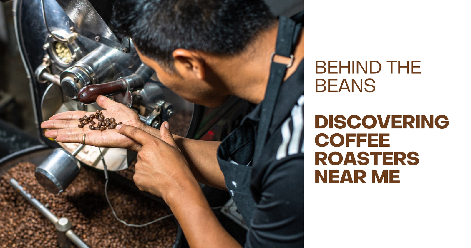 Barista holding freshly roasted coffee beans in palm near industrial coffee roaster equipment