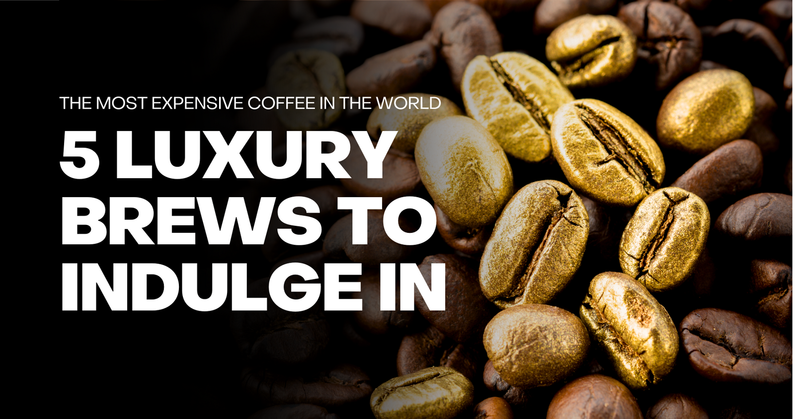 The Most Expensive Coffee in the World: 5 Luxury Brews to Indulge In