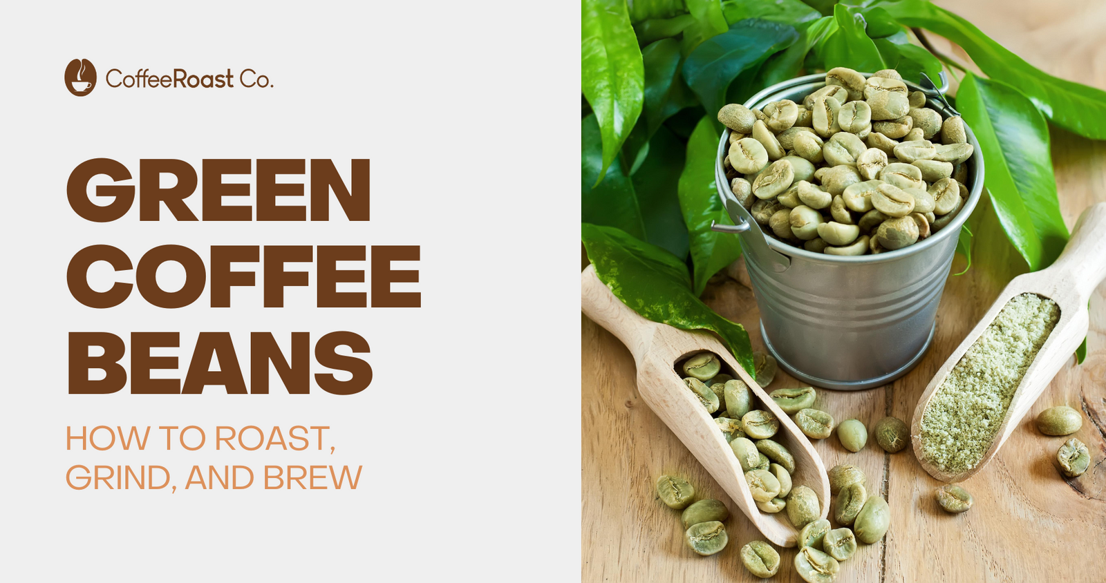 Pale green unroasted coffee beans in metal bucket and wooden scoops surrounded by fresh green leaves
