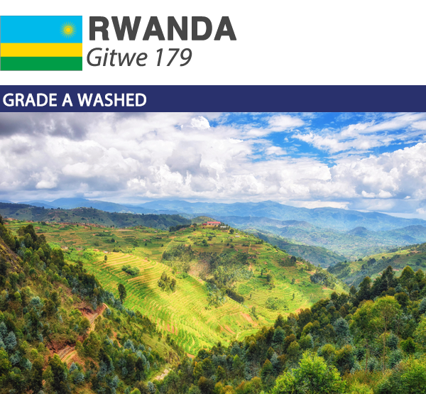 Rwanda Isimbi | Green Coffee Boxes | Wholesale Origin - CoffeeRoast Co.