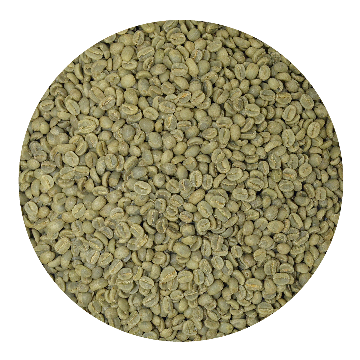 Congo green coffee beans offer a unique flavor experience from East Africa