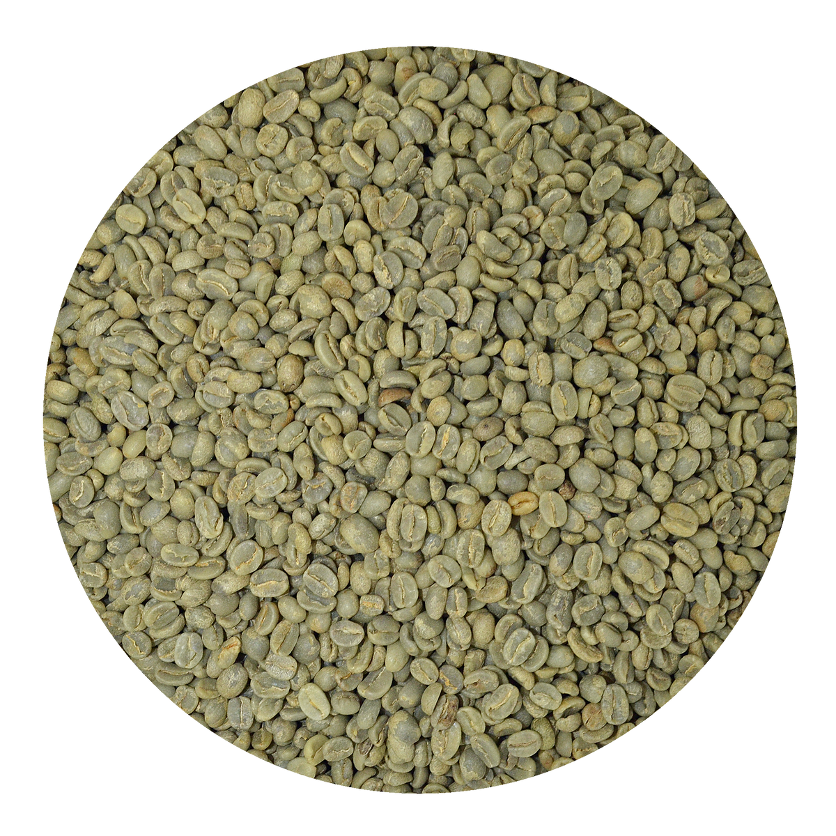 Green Coffee Beans Guatemala Organic