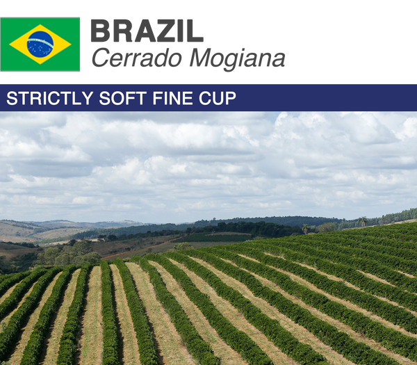 Brazil Cerrado | Boxes - CoffeeRoast Co.