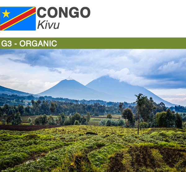 Congo Kivu G3 Organic