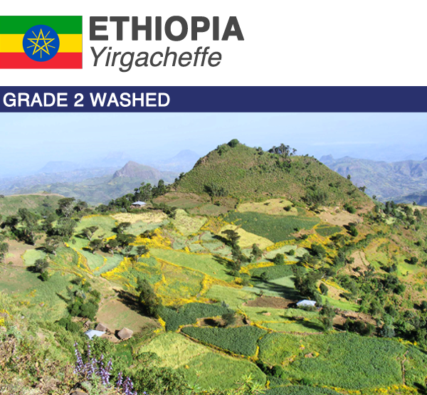 Ethiopia Yirgacheffe | Boxes
