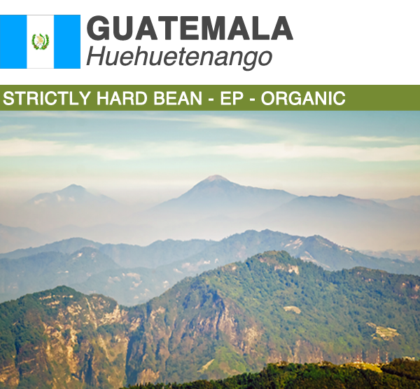 Guatemala Huehuetenango Organic | Boxes