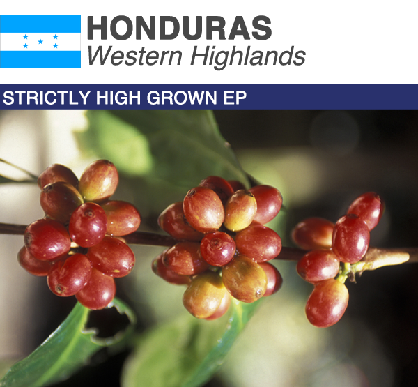 Honduras SHB EP | Boxes