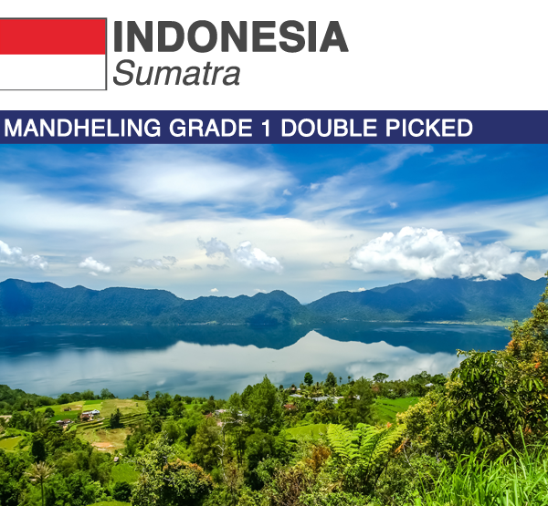 Indonesia Sumatra Mandheling Grade 1 | Boxes