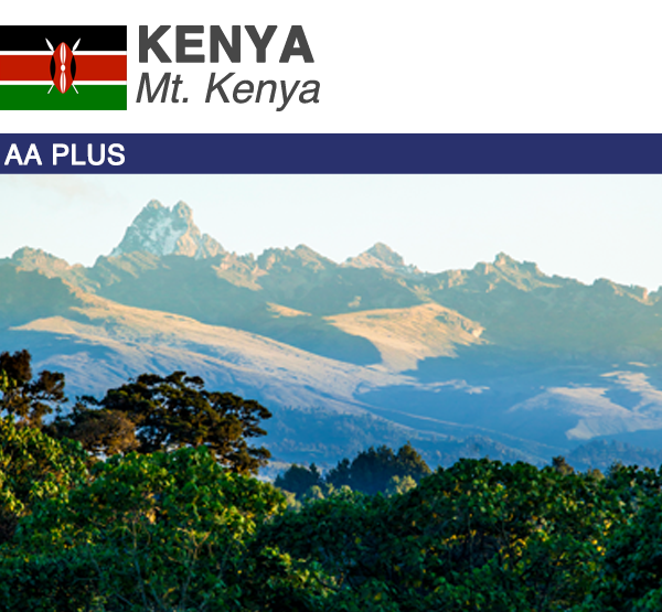 Kenya AA Plus | Boxes