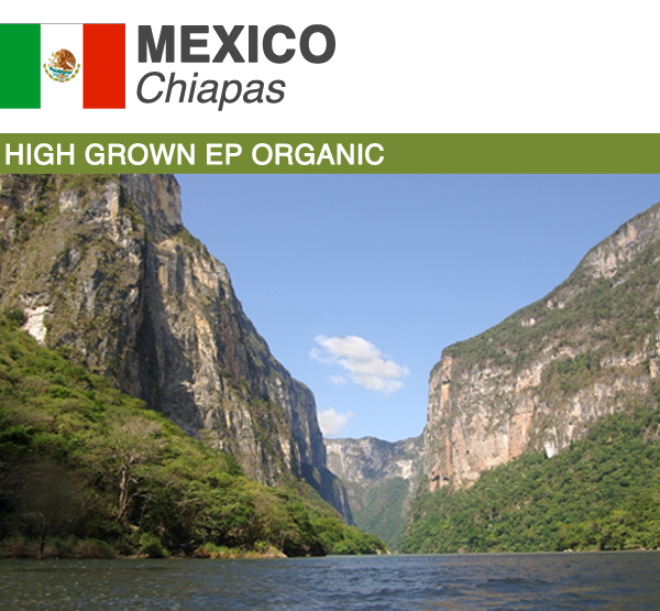 Mexico Chiapas Organic | Boxes