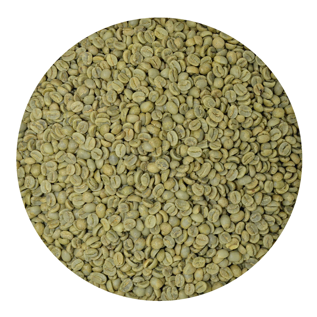 Green Coffee Beans Panama Boquete